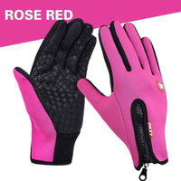 Rose red