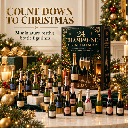 🎅Best Gift For Christmas 🥂 24 Champagne Advent Calendar 2026 🎄