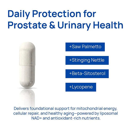 Lazzda NAD+ pour hommes et complexe de magnésium - Énergie naturelle, équilibre et récupération 