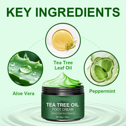 💝Soothing Aloe Vera & Tea Tree Foot Moisturizer