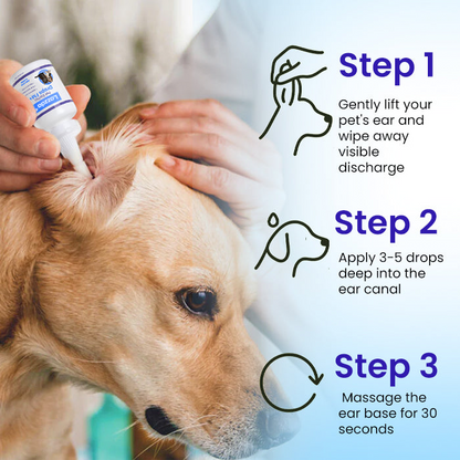 Lazzda Pet EarPro Drops FM+ (𝟟𝟘% 𝕆𝔽𝔽 𝗘𝗡𝗗𝗦 𝗜𝗡 𝟭𝟬 𝗠𝗜𝗡𝗨𝗧𝗘𝗦)