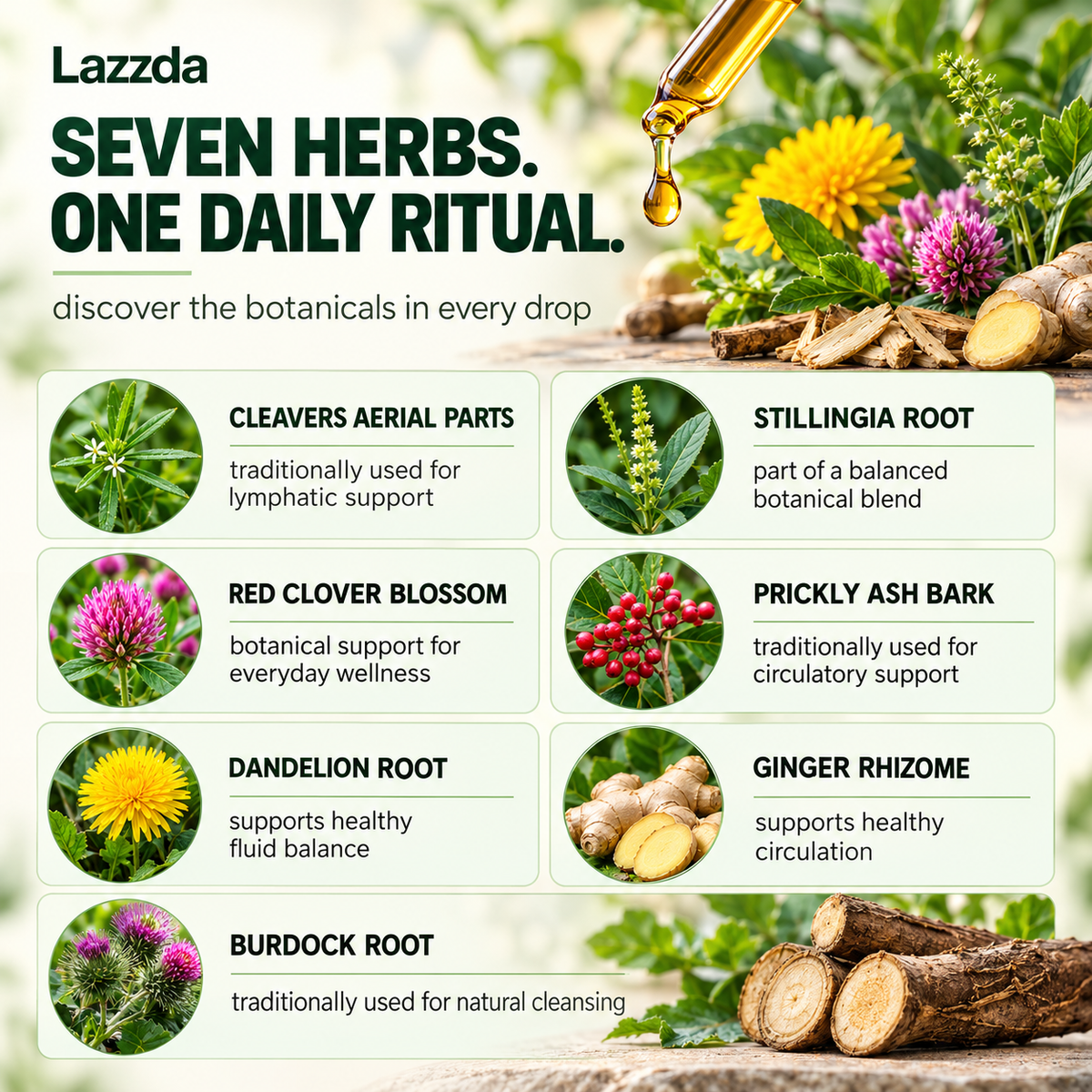 Lazzda Herbal Sublingual Drops