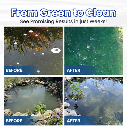 ✨ From Green to Clean Overnight! |⏱️ Crystal Clear in 24 Hours! |  Aqua-Guardian Pro Formula