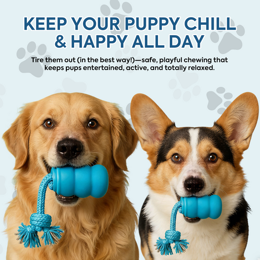 Smart Motion Pet Ball V3