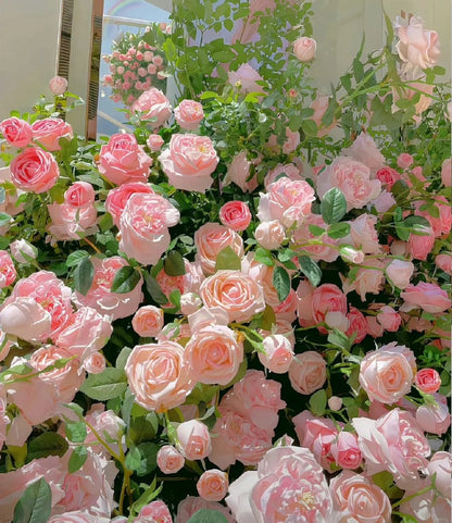 [3 days germination]🔥Last Day 49% OFF🌺Climbing Rose Seeds