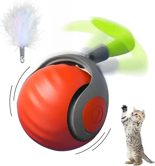 SPEEDY TAIL 2.0