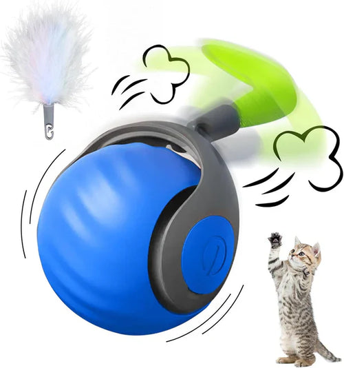 SPEEDY TAIL 2.0