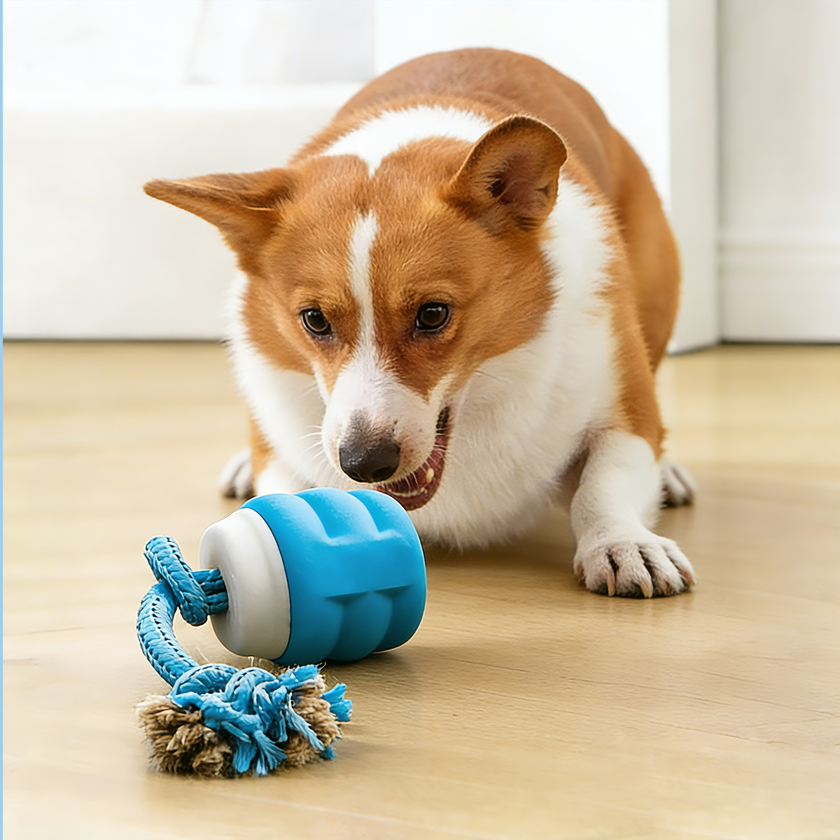 Smart Motion Pet Ball V3