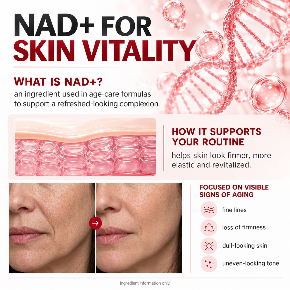 Lazzda NAD+ Firming Serum