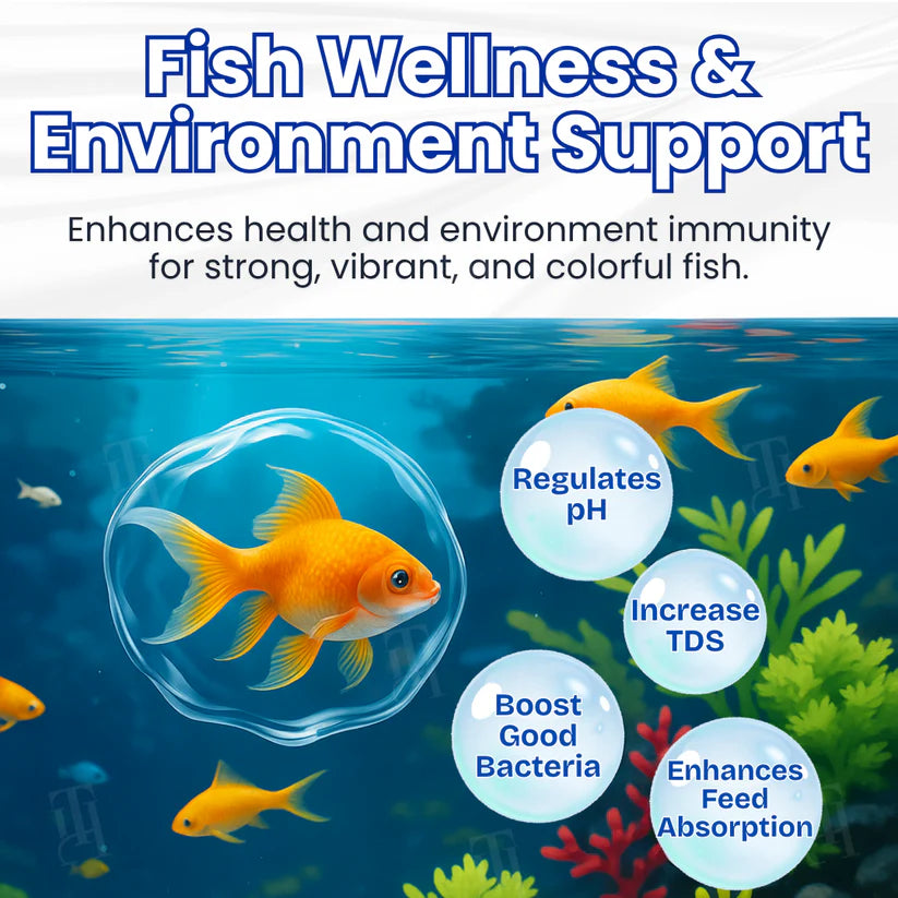 ✨ From Green to Clean Overnight! |⏱️ Crystal Clear in 24 Hours! |  Aqua-Guardian Pro Formula