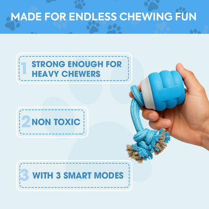Smart Motion Pet Ball V3