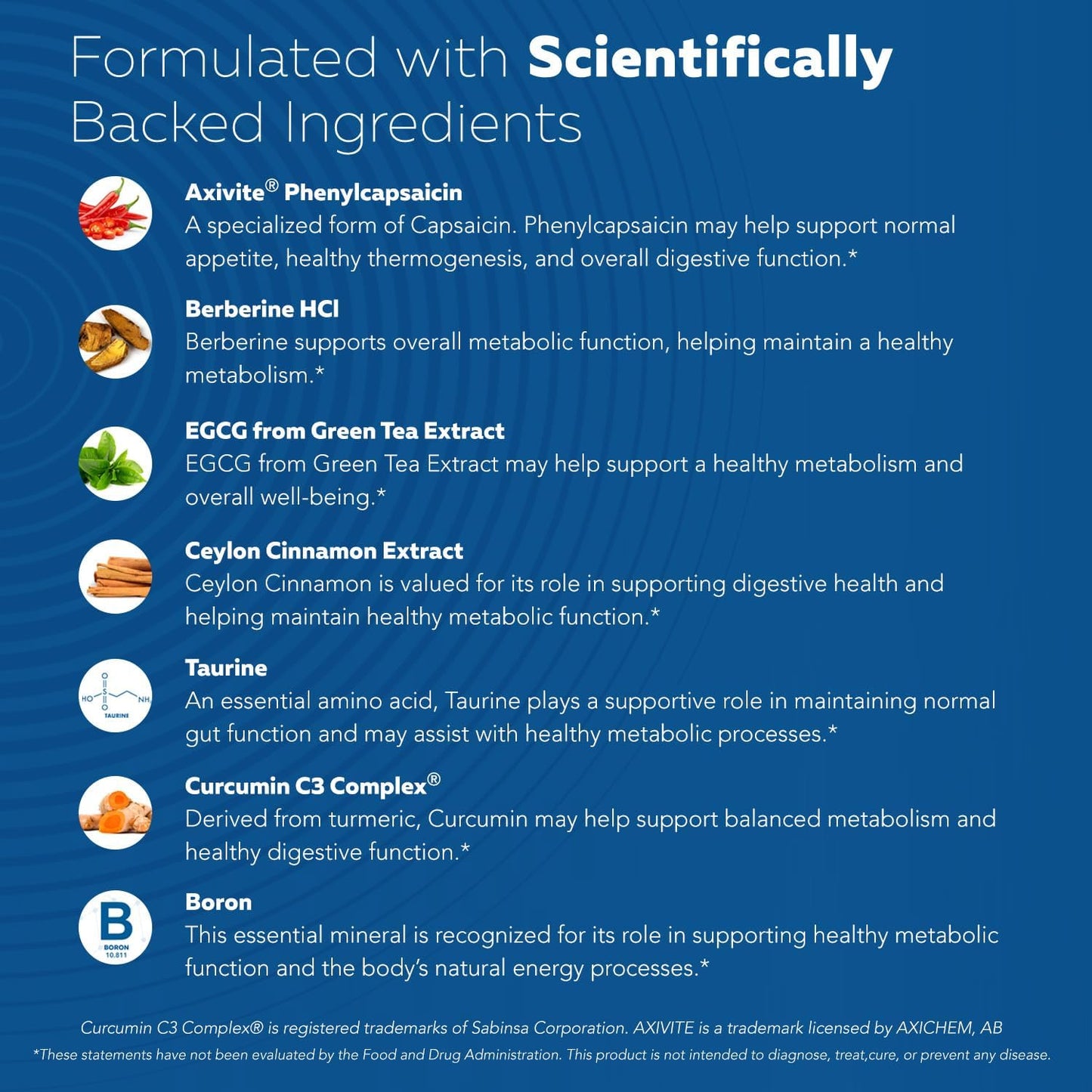 GLP-Activate: Holistic GLP-1 Support