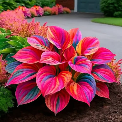 🔥Premium Rare Hosta Seeds🌿Shade-Tolerant Plant