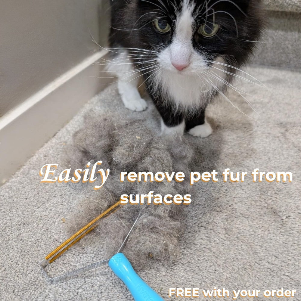 Cat and Dog Grooming Trimmer