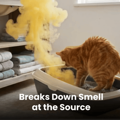 Lazzda Pet Odor Eliminator - Eliminate Pet Smells In Under 24 Hours & Stop Them From Coming Back