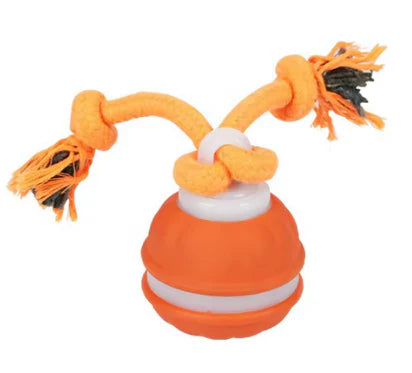 Smart Motion Pet Ball V3