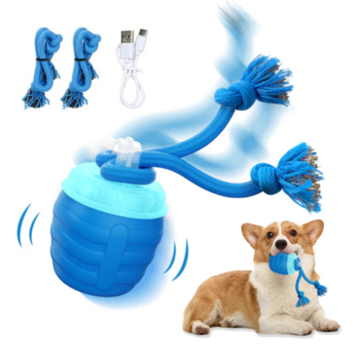 Smart Motion Pet Ball V3