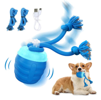 Smart Motion Pet Ball V3