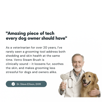 Lazzda Pet Steam Brush + Solution Refills