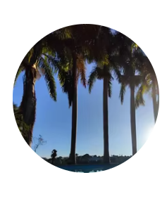 files/download_11332e85-e8fb-449b-9ce2-d4b211c42669.png