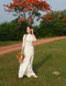 files/download_d9e81976-befb-4af4-8d42-3a0ad915505a.webp