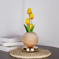 Orange Tulip