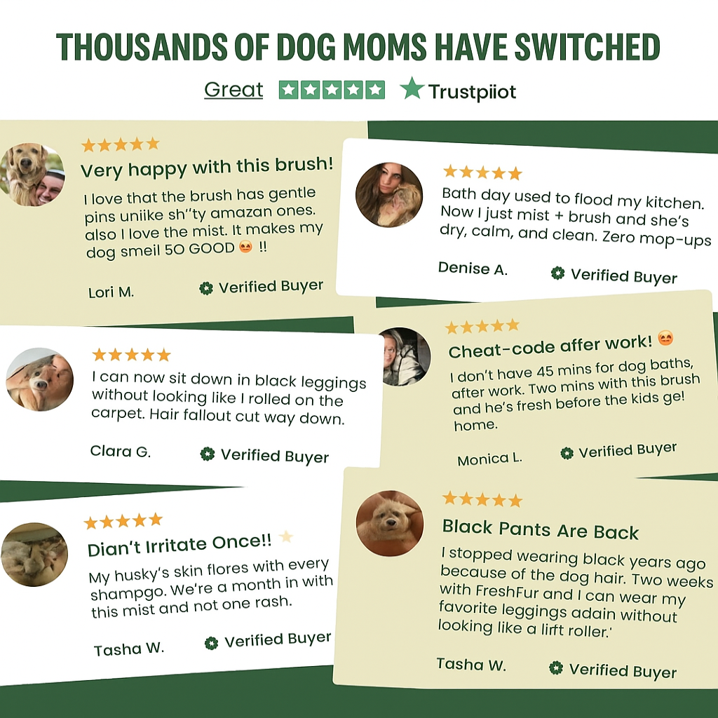 Lazzda Pet Steam Brush + Solution Refills